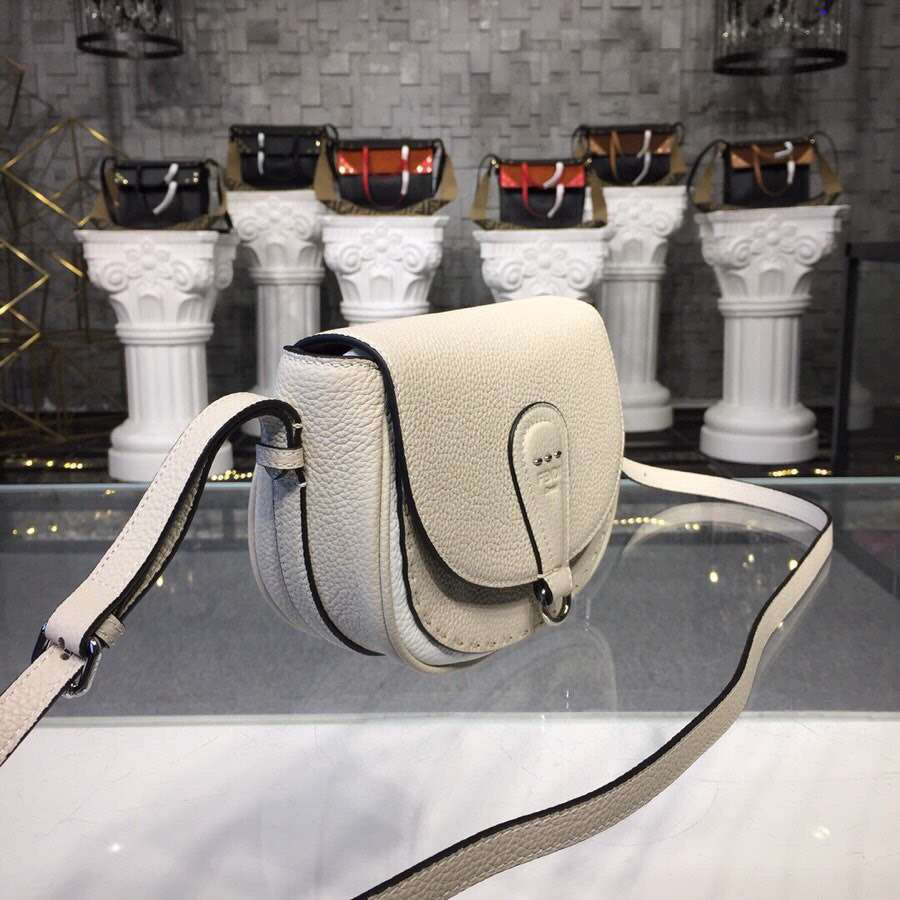 new-designer-premium-bags-nm15116