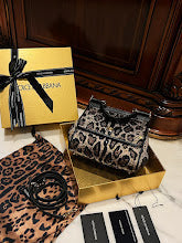 new-designer-premium-bags-nm6916