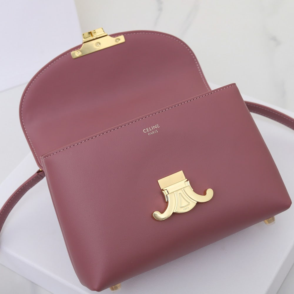 Dragons Bags Celine Luxury Bag --112053