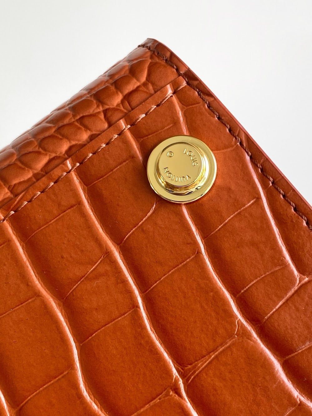 Dragons Bags ln Luxury Bag --96196