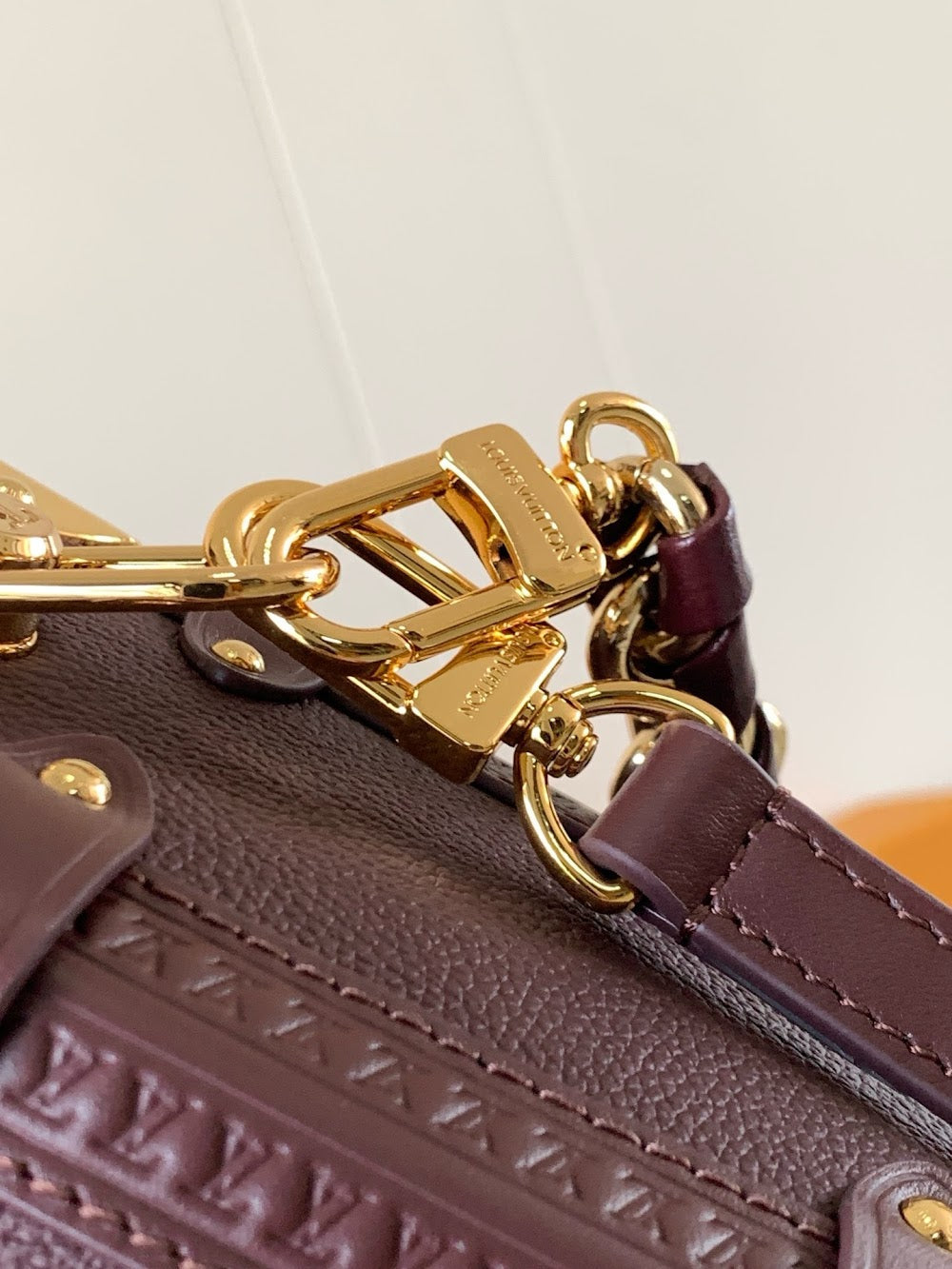 Dragons Bags LVn Luxury Bag --80425