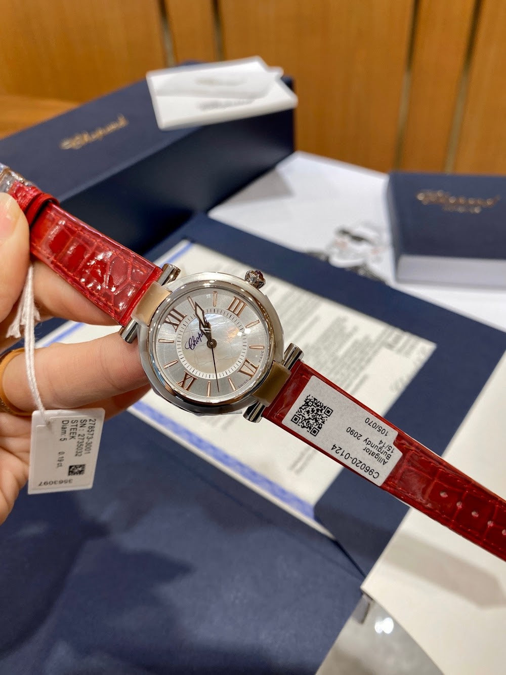 Dragons Bags Luxury Designer Watch --104348