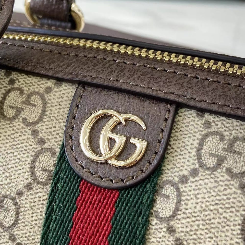 Dragons Bags Guccin Luxury Bag --94613