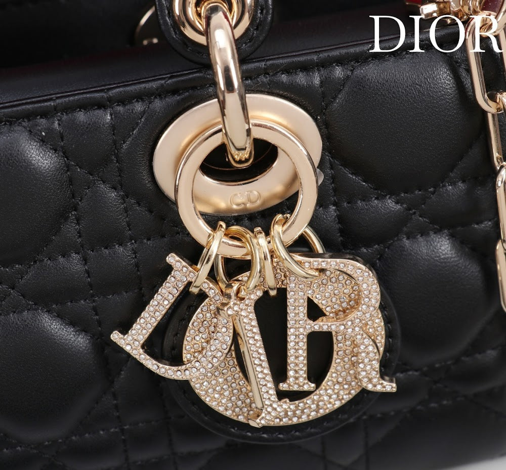 Dragons BagsDiorn Luxury Bag --115624