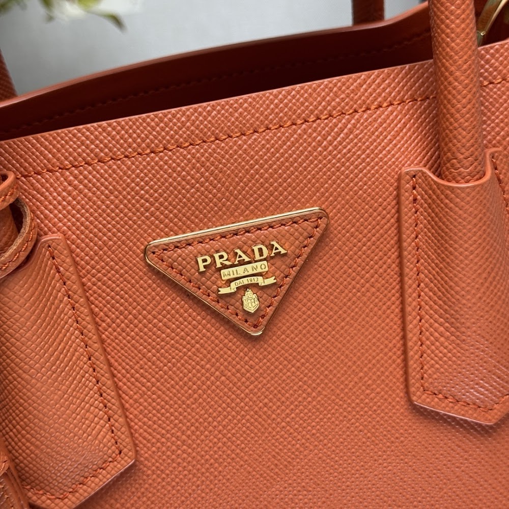 Dragons Bags Pradn Luxury Bag --102319
