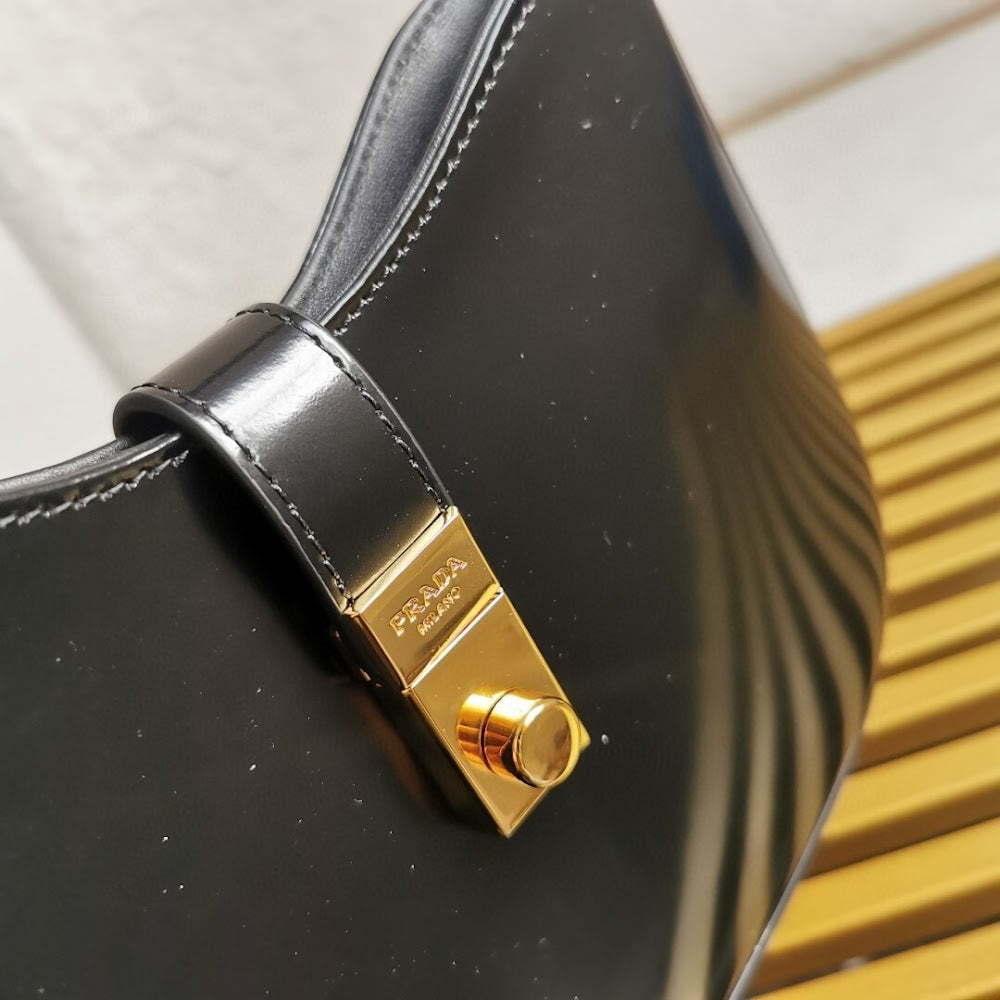 Dragons Bags Pradn Luxury Bag --102241