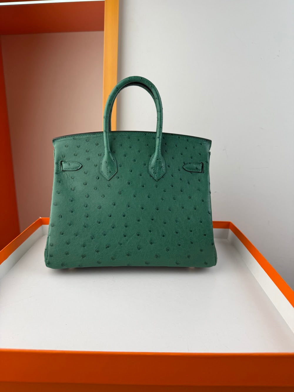 Dragons BagsHermesn Luxury Bag --116765