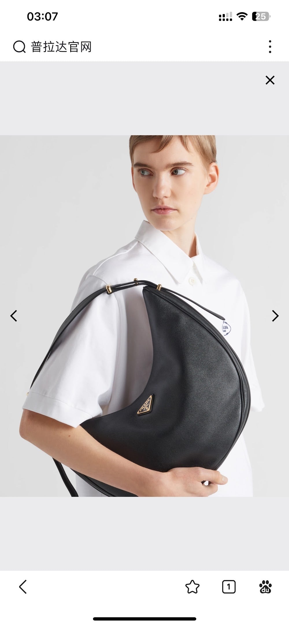 Dragons Bags Pradn Luxury Bag --102602