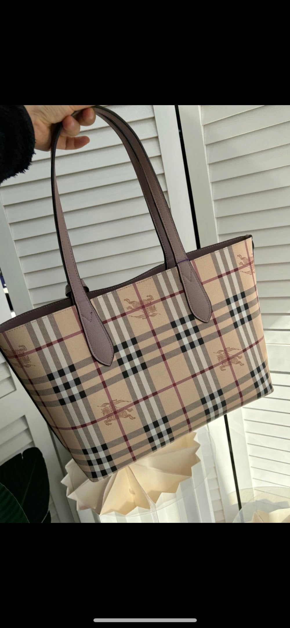 Dragons Bags Burberryn Luxury Bag --91684