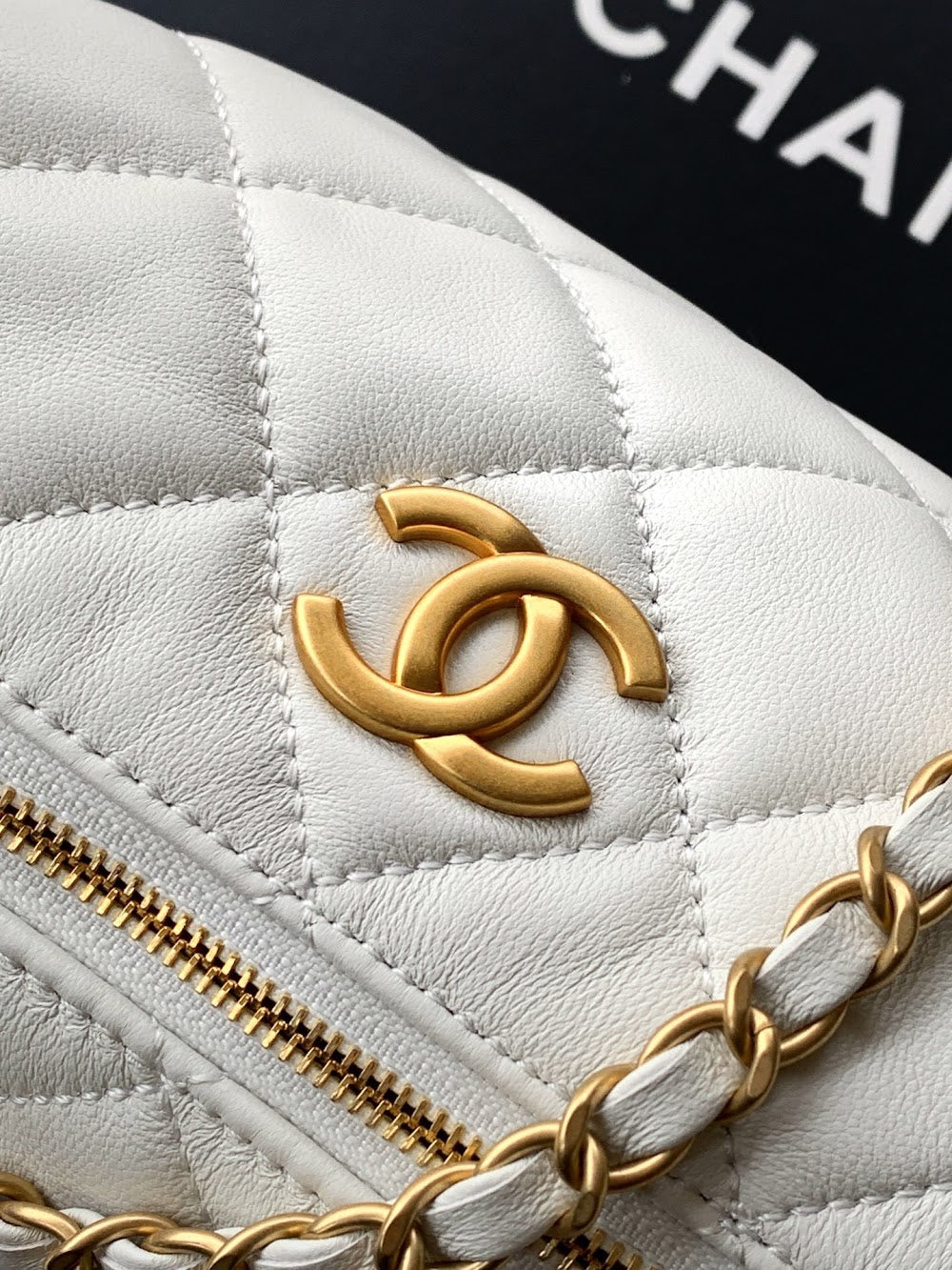 Dragons Bags CHn Luxury Bag --112803