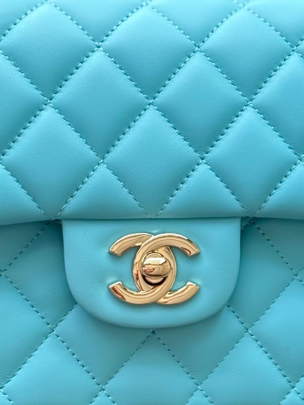Dragons Bags CHn Luxury Bag --113029