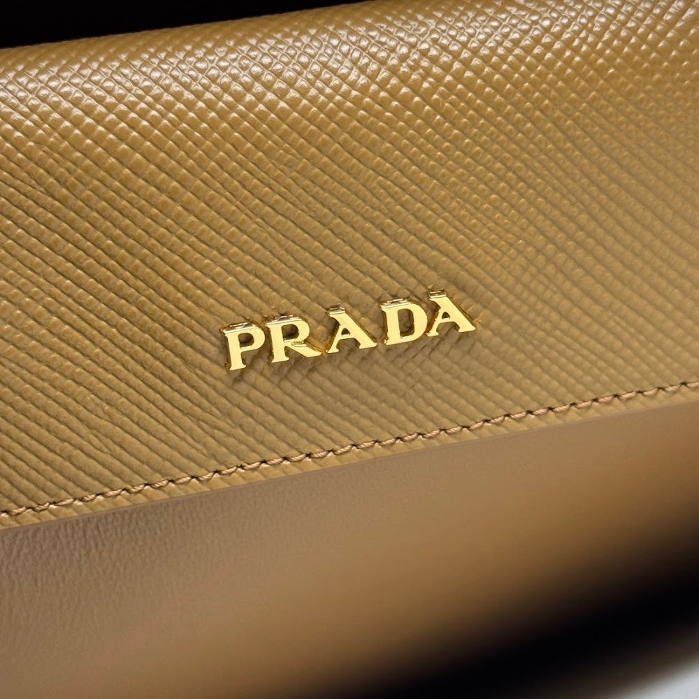 Dragons Bags Pradn Luxury Bag --102313