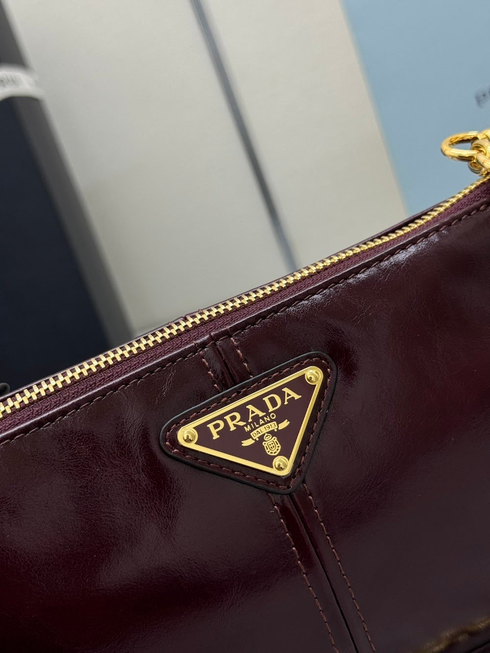 Dragons Bags Pradn Luxury Bag --101369