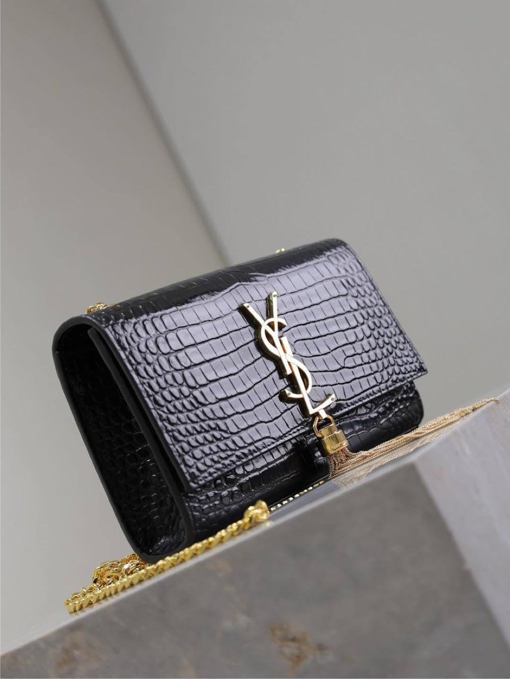 Dragons Bags YSLn Luxury Bag --120526