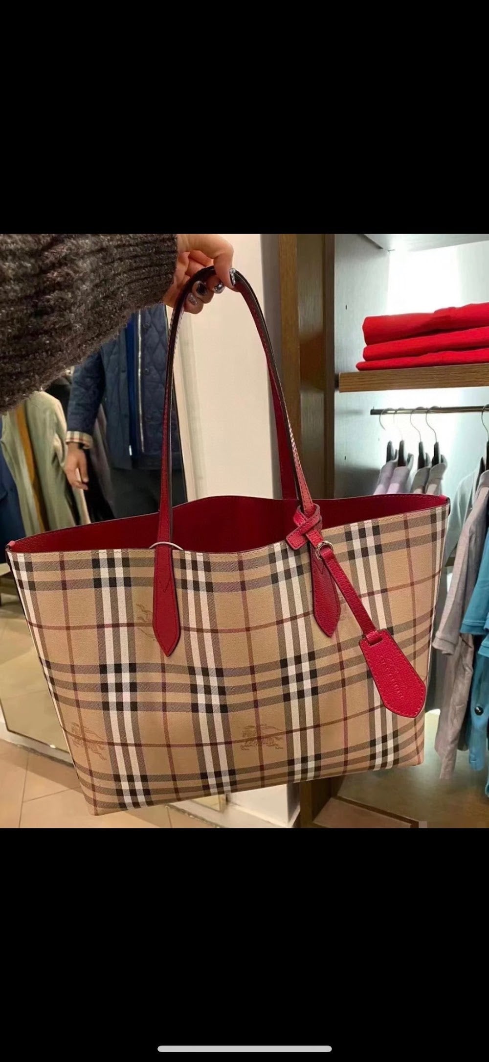 Dragons Bags Burberryn Luxury Bag --91687
