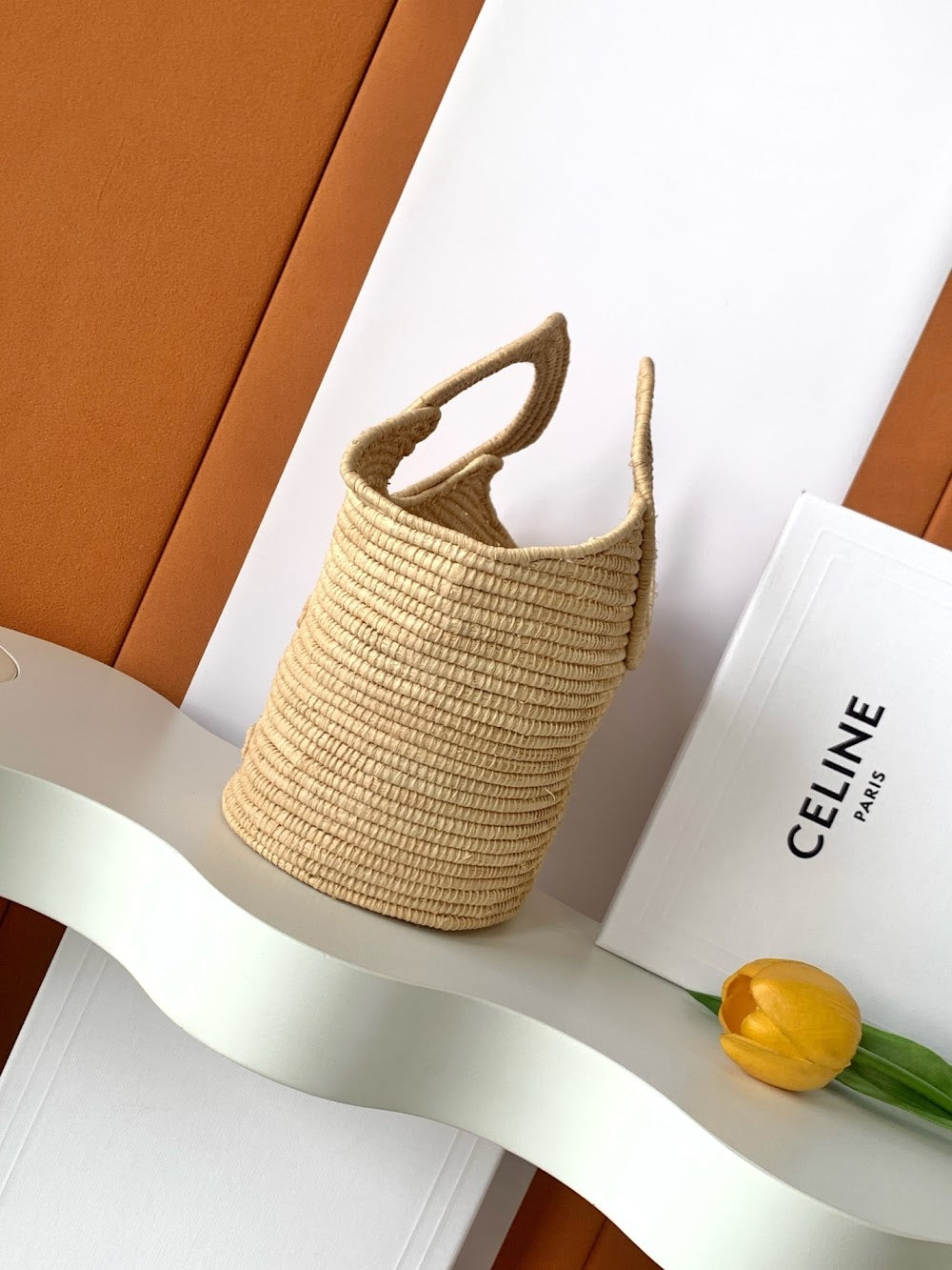 Dragons Bags Celine Luxury Bag --112063