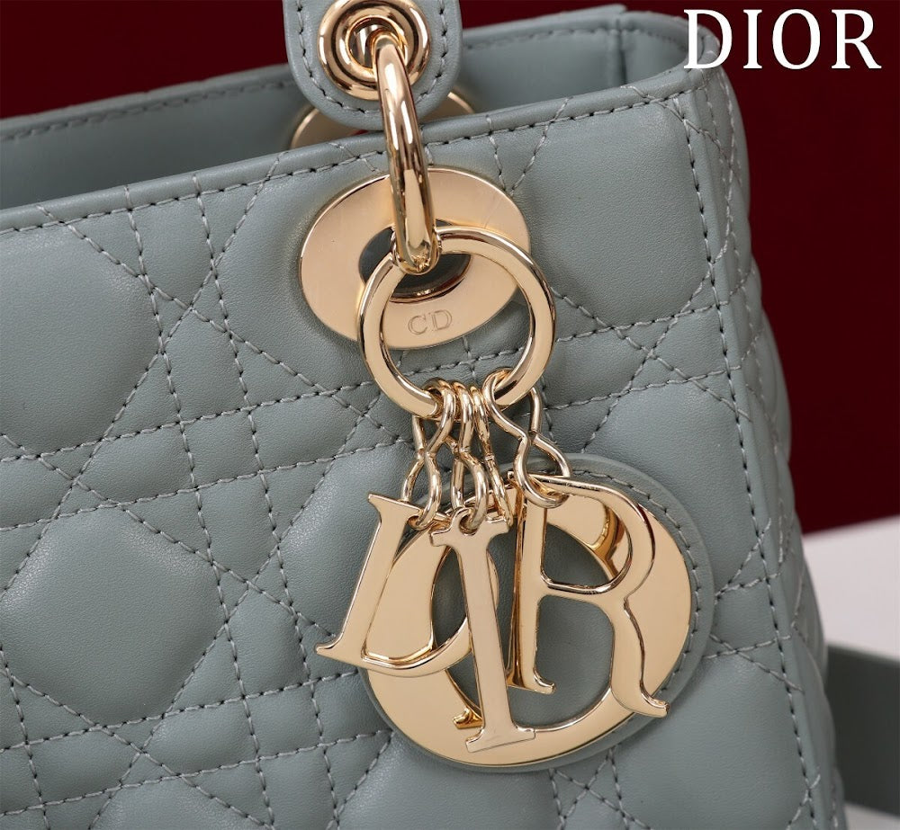 Dragons BagsDiorn Luxury Bag --115912