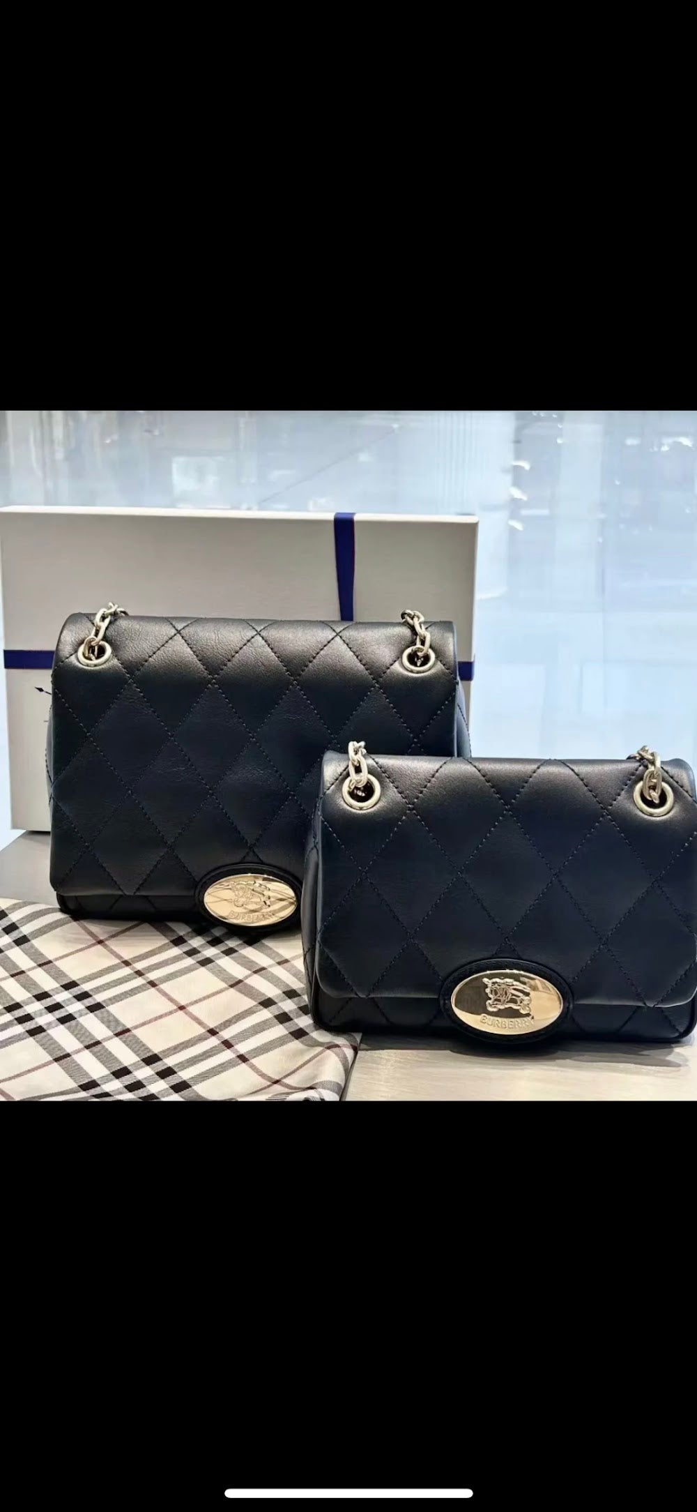 Dragons Bags Burberryn Luxury Bag --92261