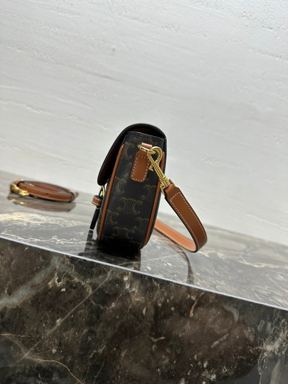 Dragons Bags Celine Luxury Bag --112533