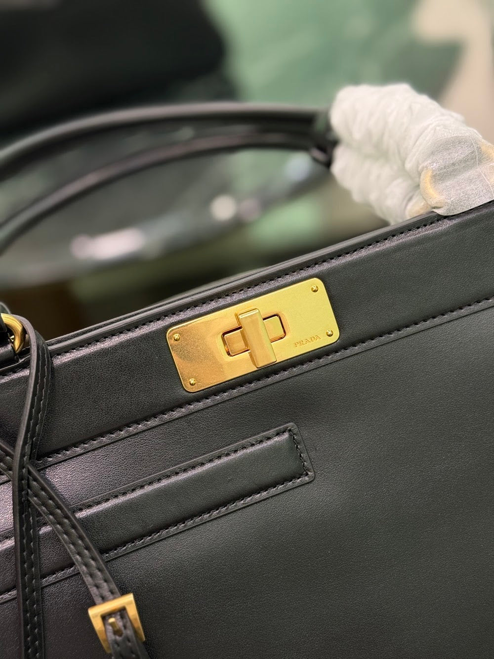 Dragons Bags Pradn Luxury Bag --102284