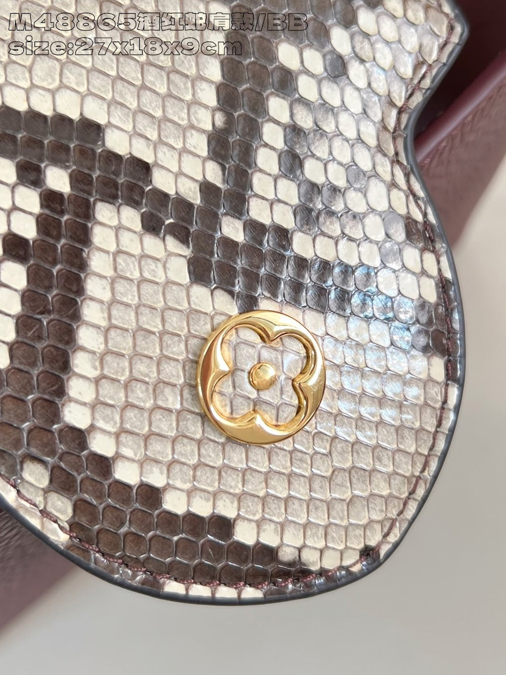 Dragons Bags ln Luxury Bag --95678