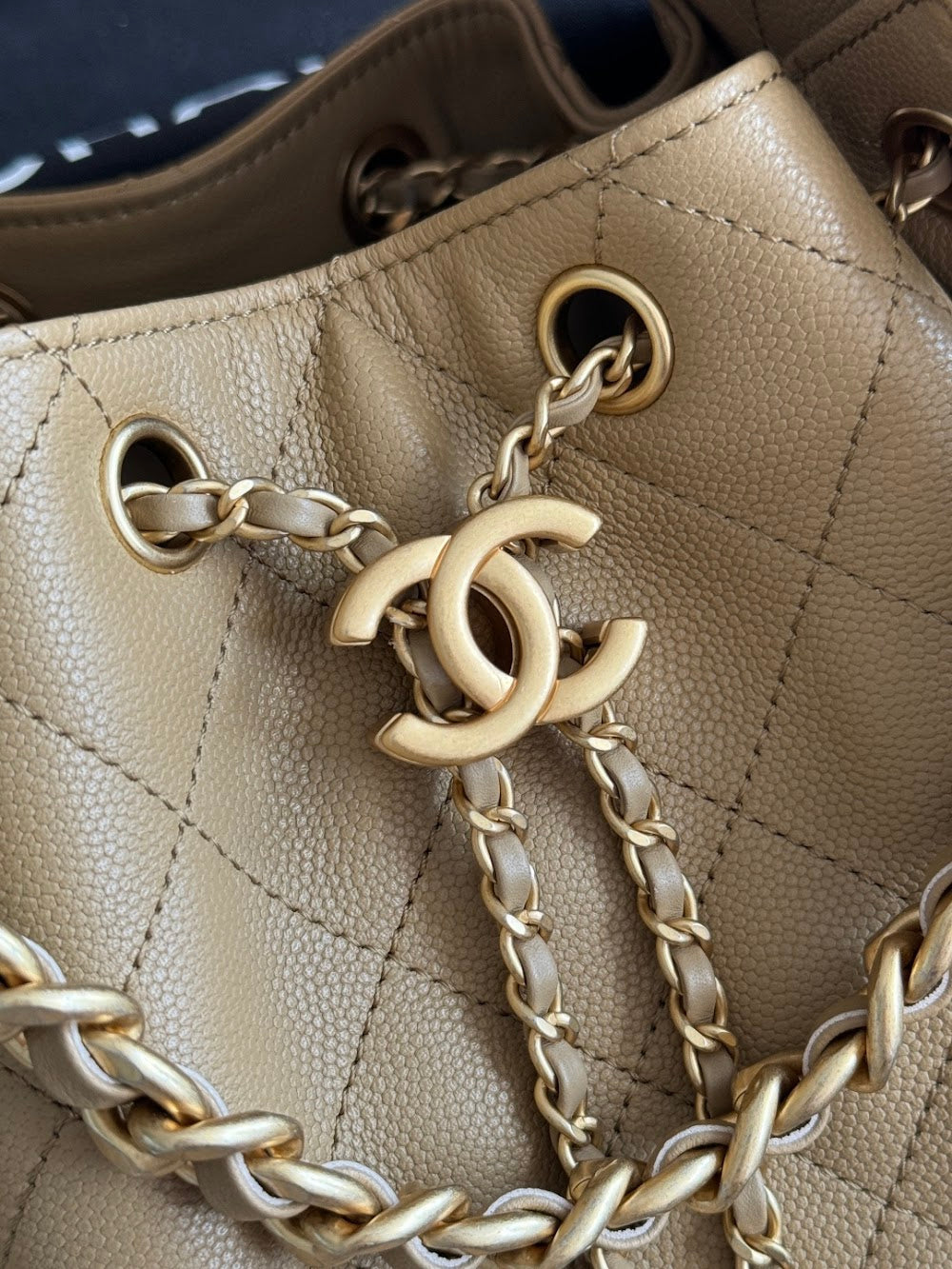 Dragons BagsCHn Luxury Bag --113730