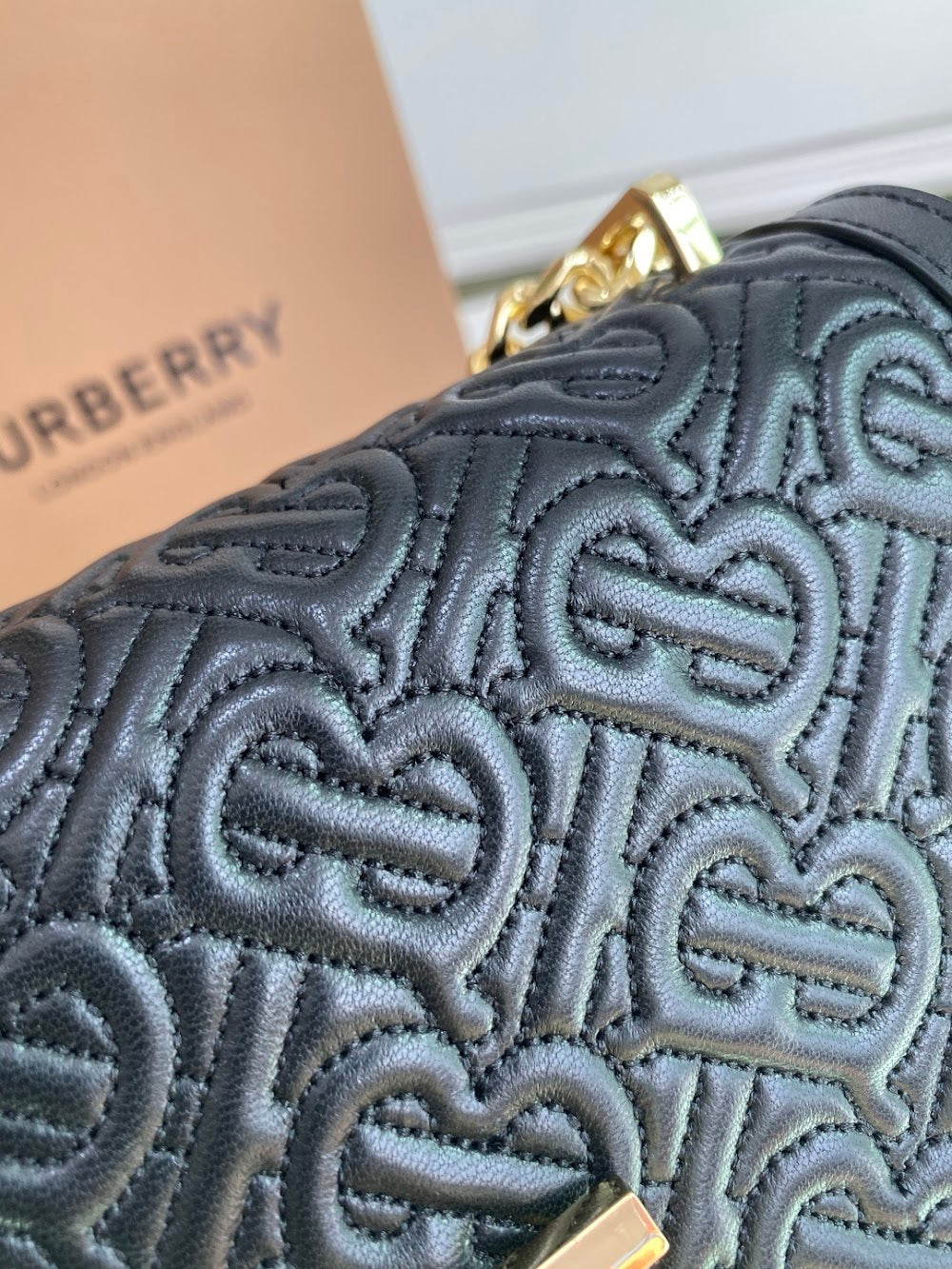 Dragons Bags Burberryn Luxury Bag --92689