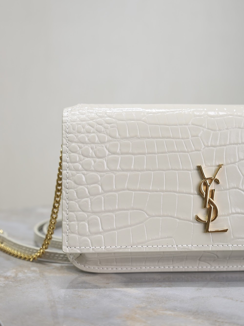 Dragons Bags YSLn Luxury Bag --120475