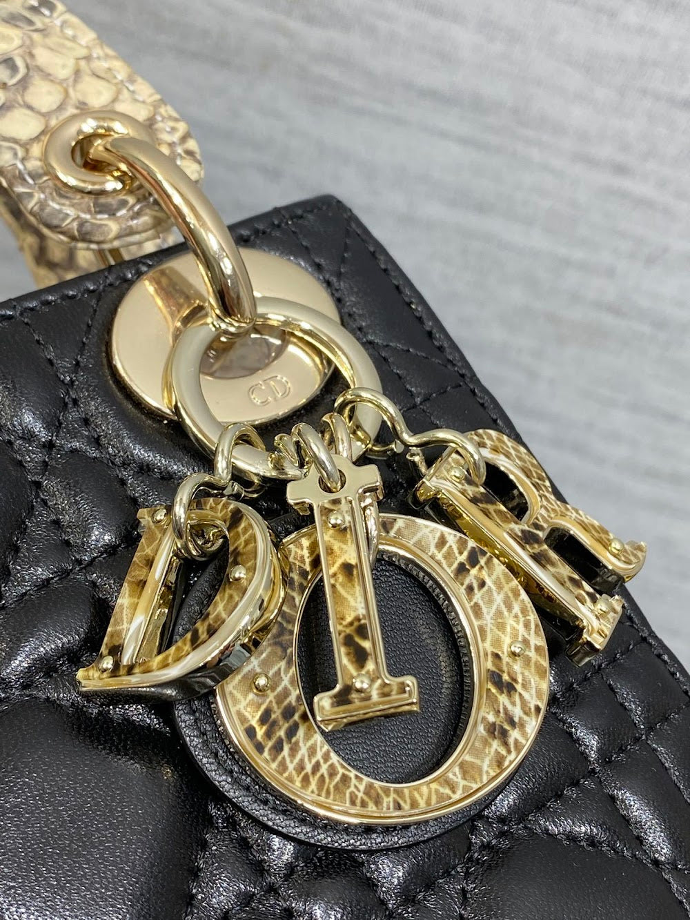 Dragons BagsDiorn Luxury Bag --115234