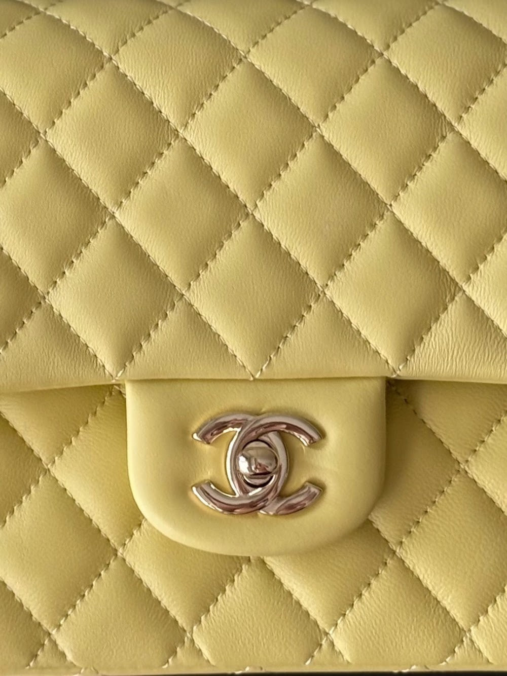 Dragons Bags CHn Luxury Bag --112998