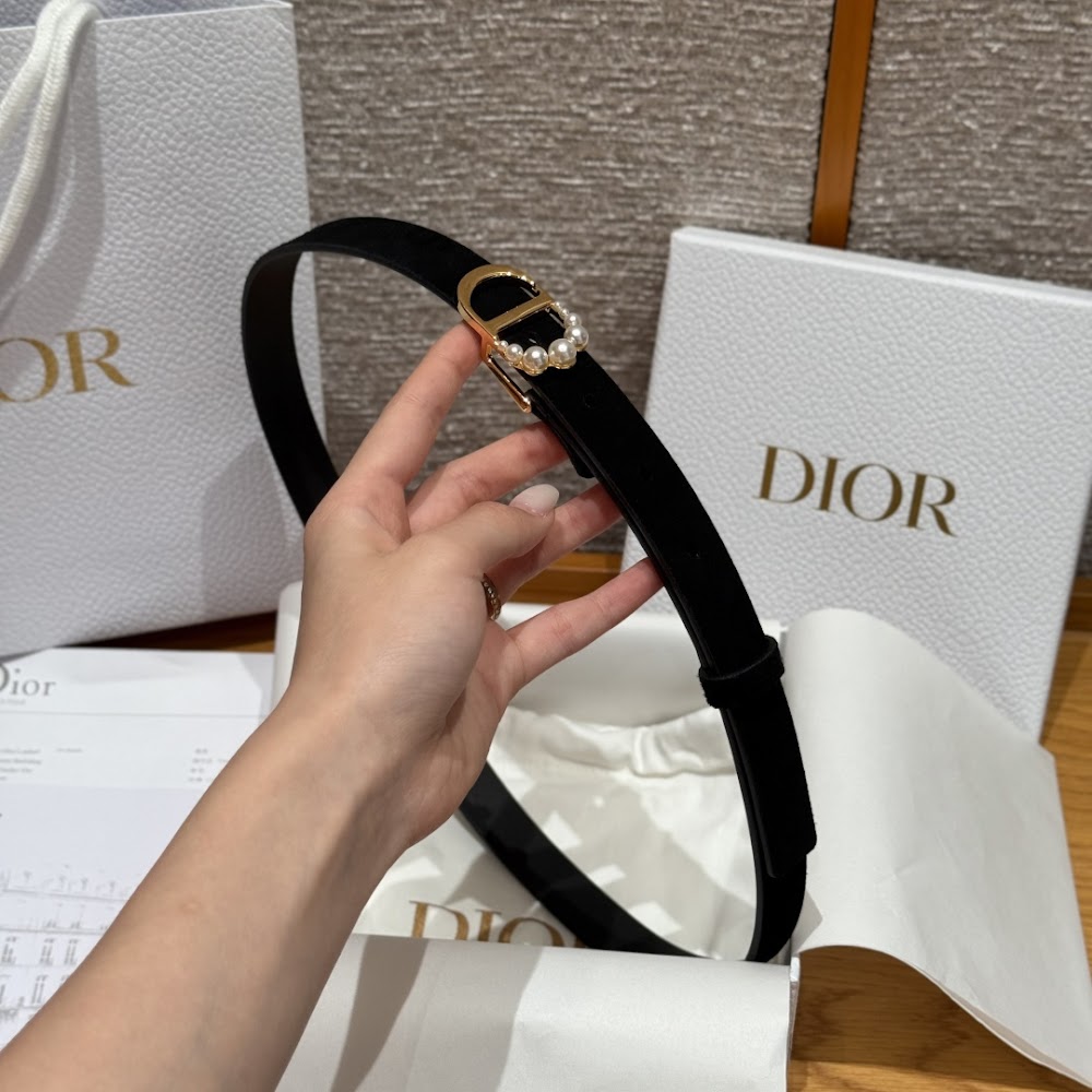Dragons Bags Diorn Luxury Belt --104978