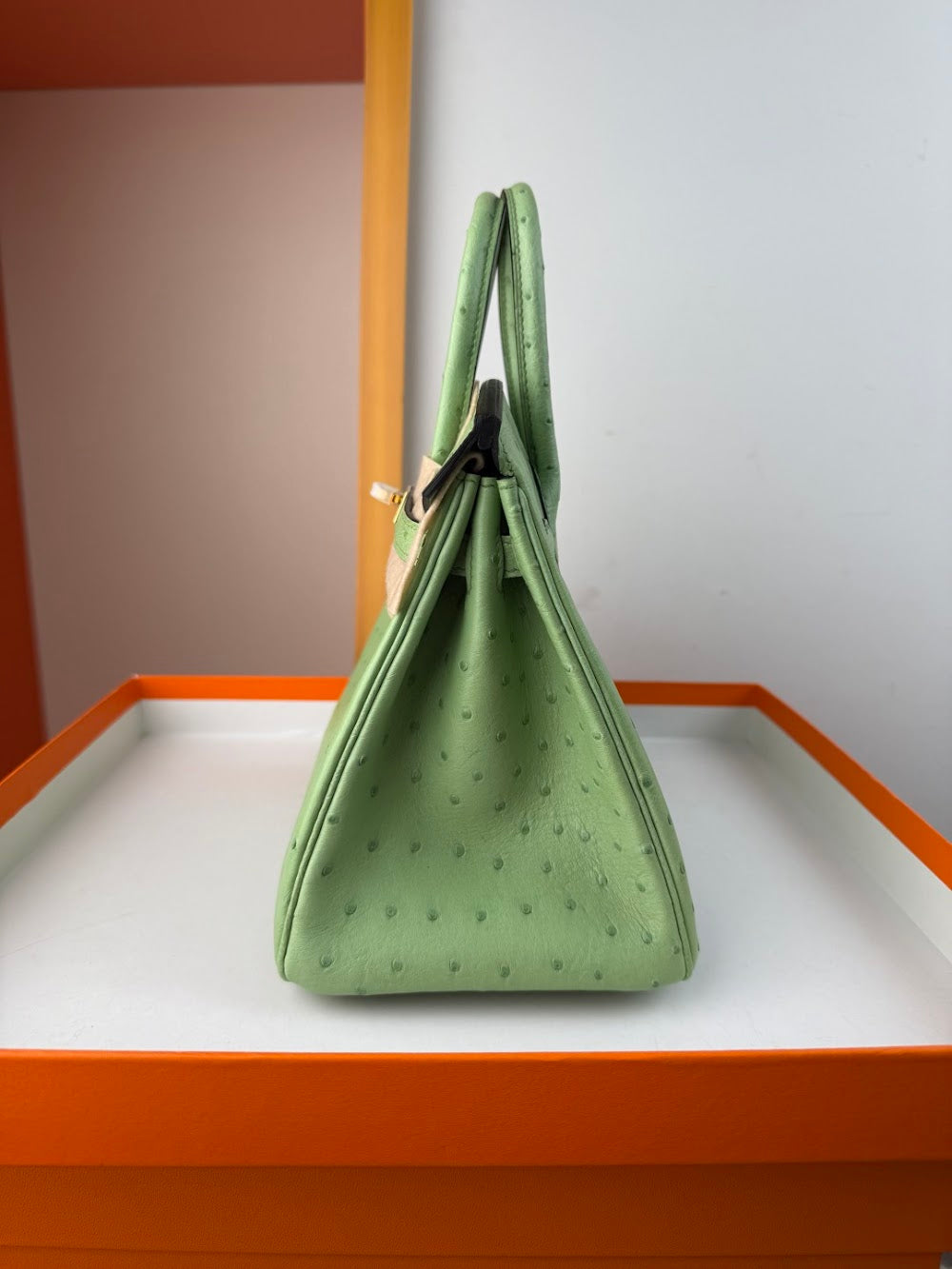 Dragons BagsHermesn Luxury Bag --116759