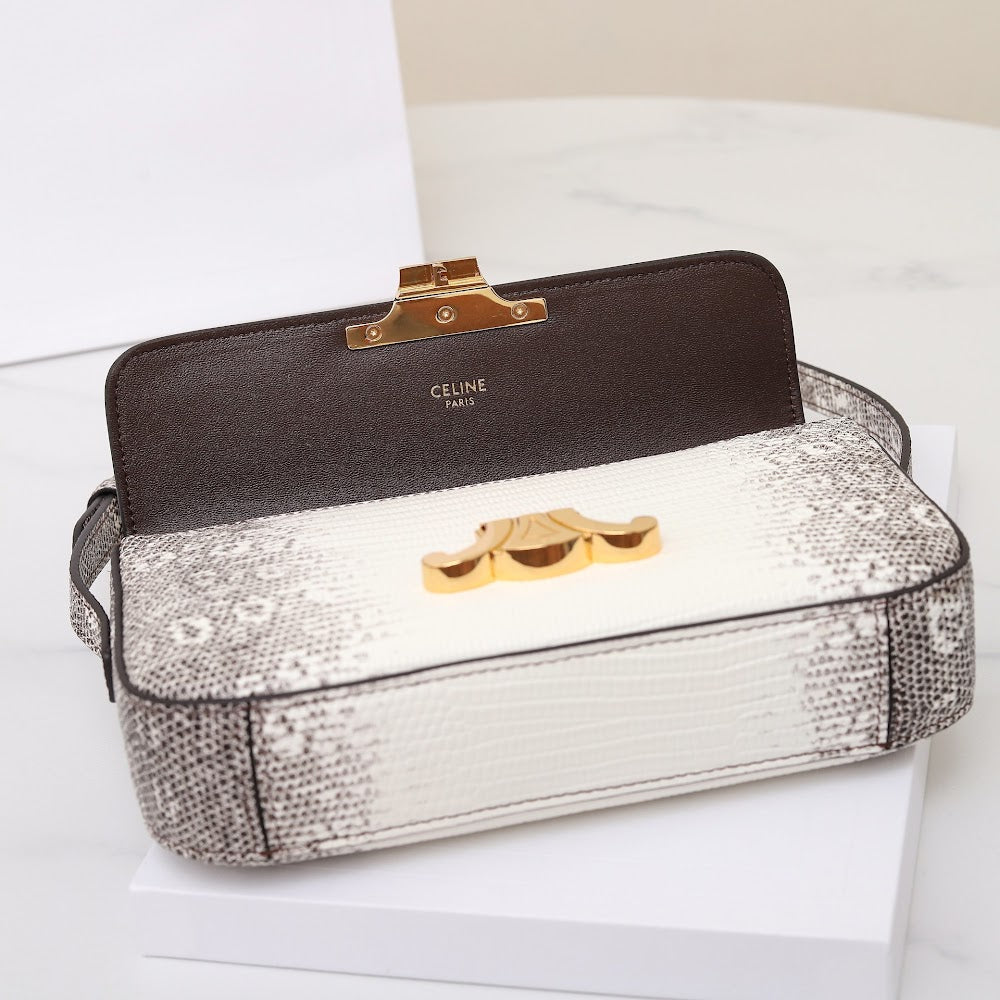 Dragons Bags Celine Luxury Bag --112152