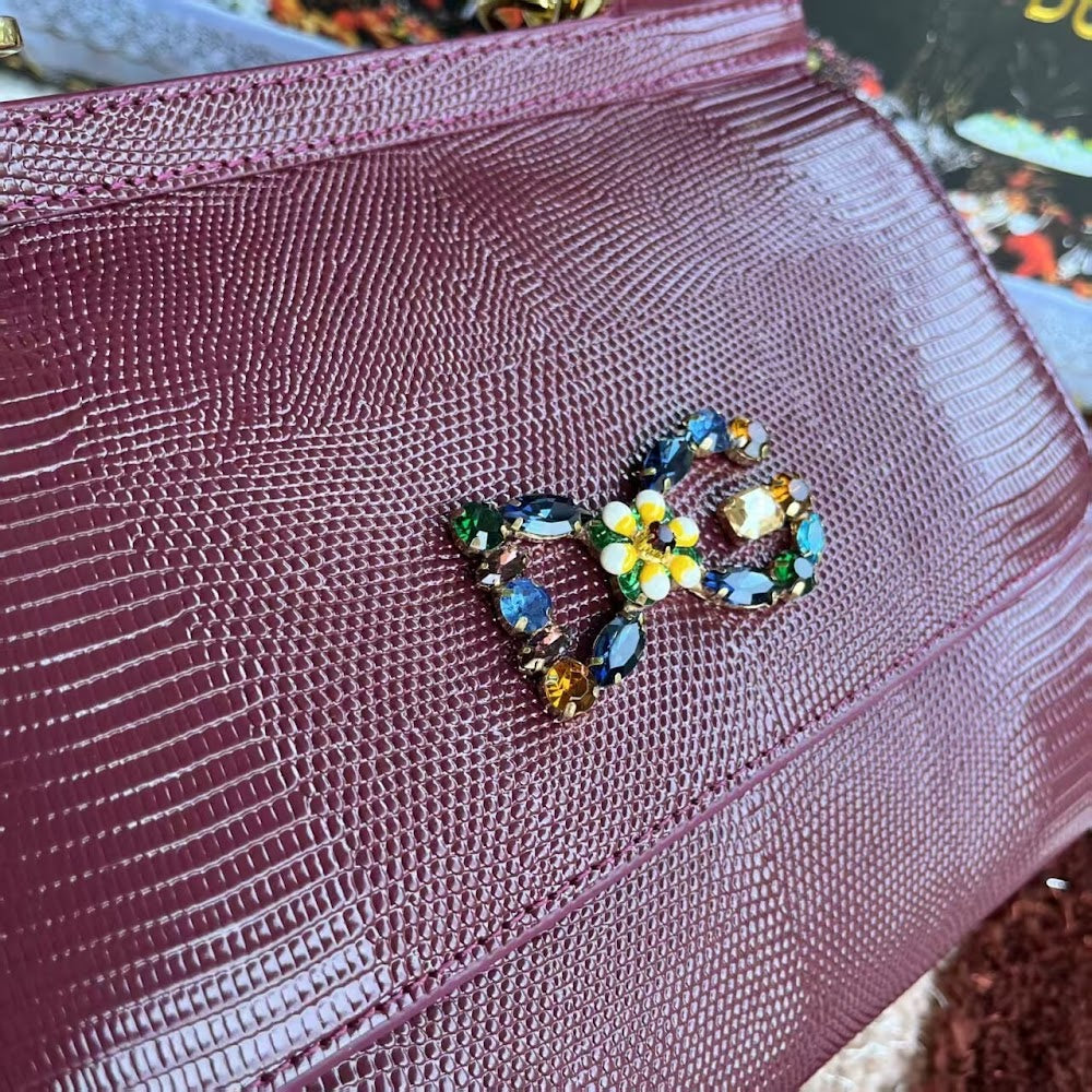 Dragons Bags DGn Luxury Bag --94056