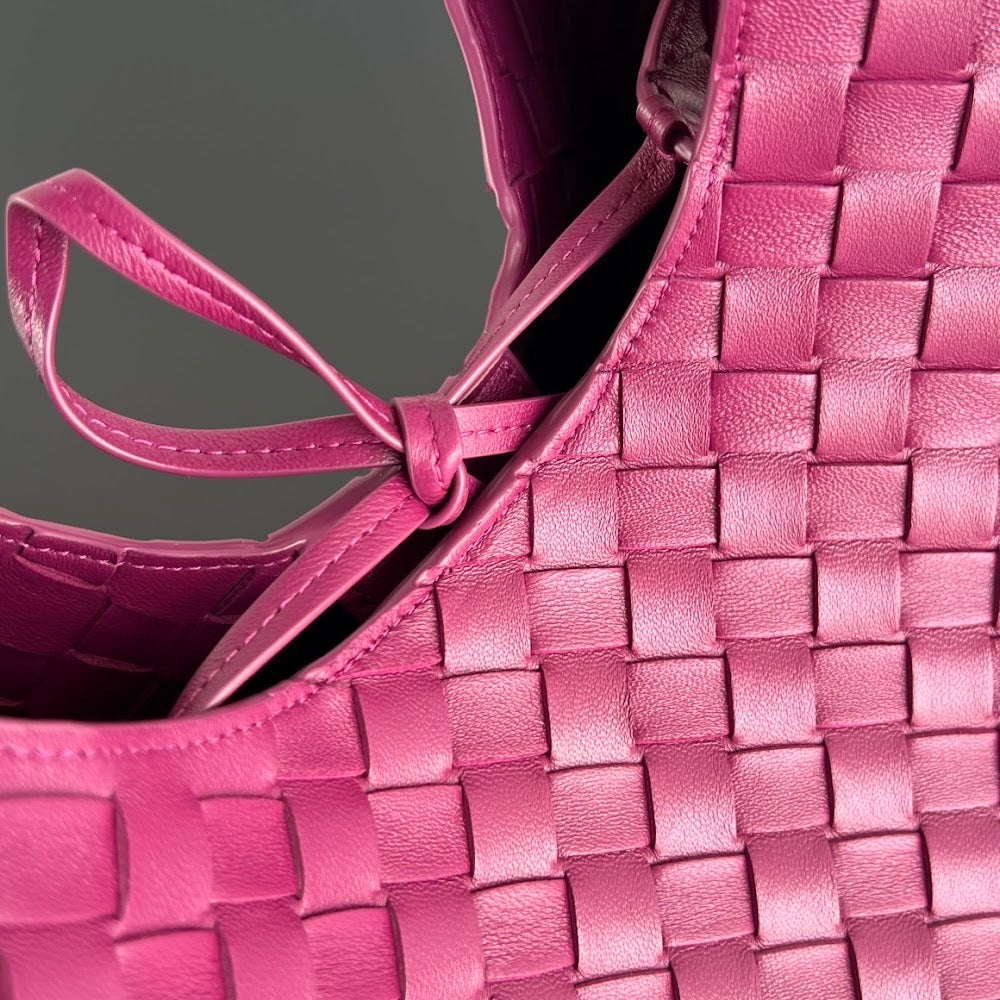 Dragons Bags Bottegan Luxury Bag --90813