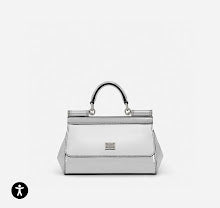new-designer-premium-bags-nm6666
