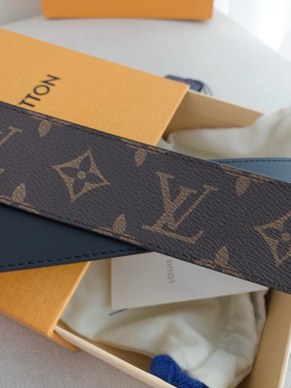 Dragons Bags ln Luxury Belt --106734