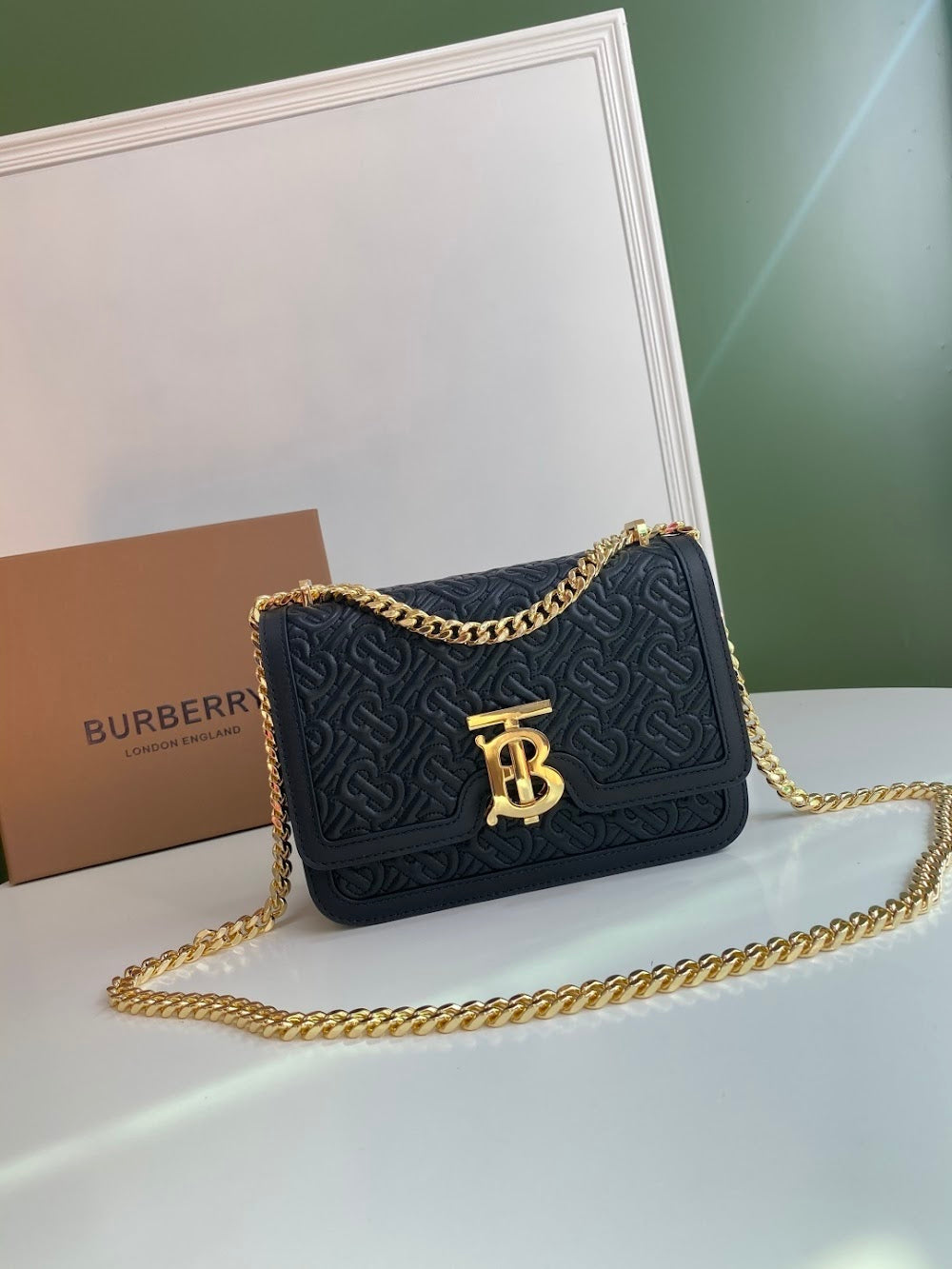 Dragons Bags Burberryn Luxury Bag --91666