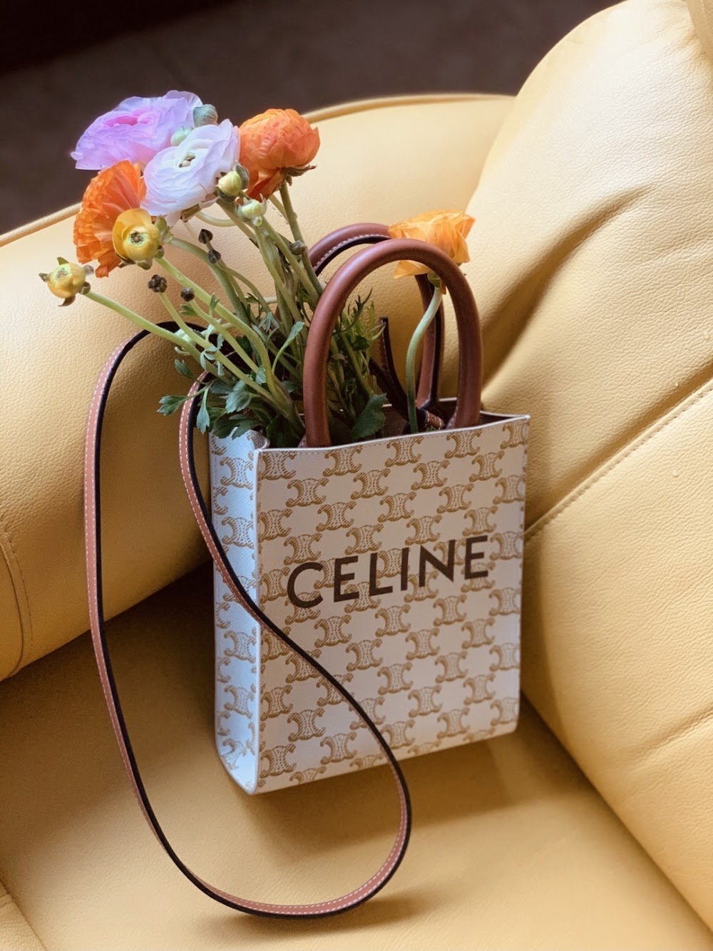 Dragons Bags Celine Luxury Bag --112298