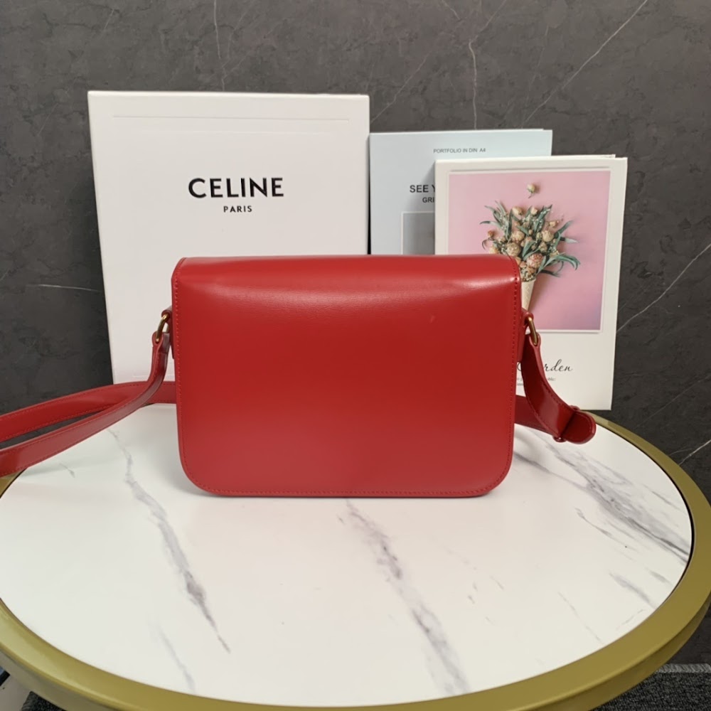 Dragons Bags Celine Luxury Bag --111992
