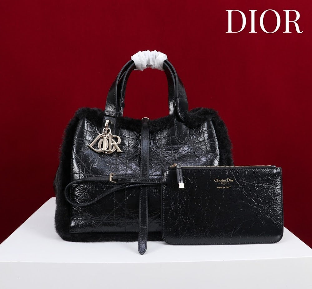 Dragons BagsDiorn Luxury Bag --116119