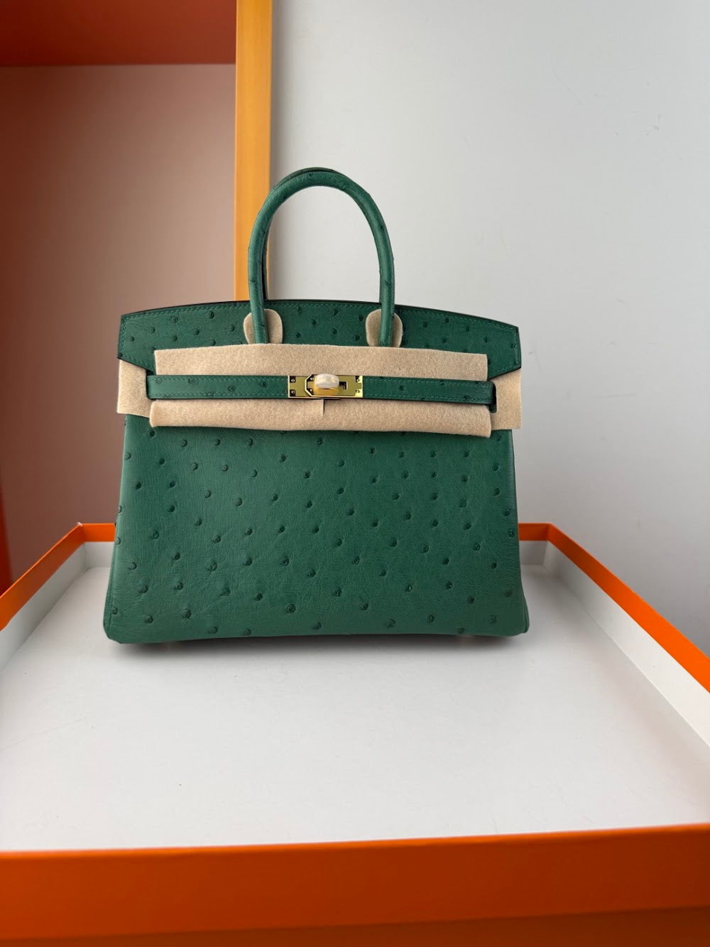 Dragons BagsHermesn Luxury Bag --116765