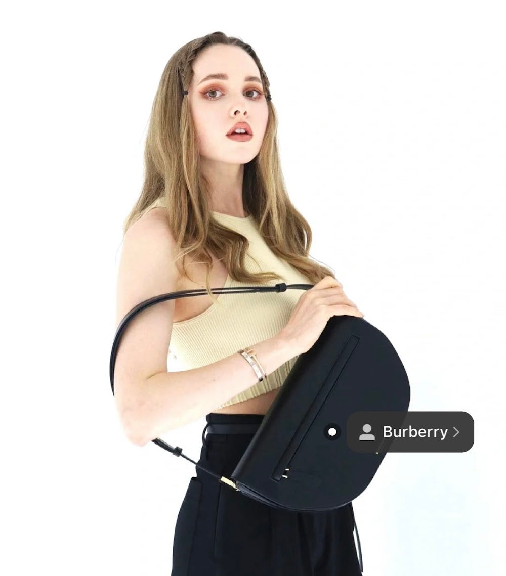 Dragons Bags Burberryn Luxury Bag --91674
