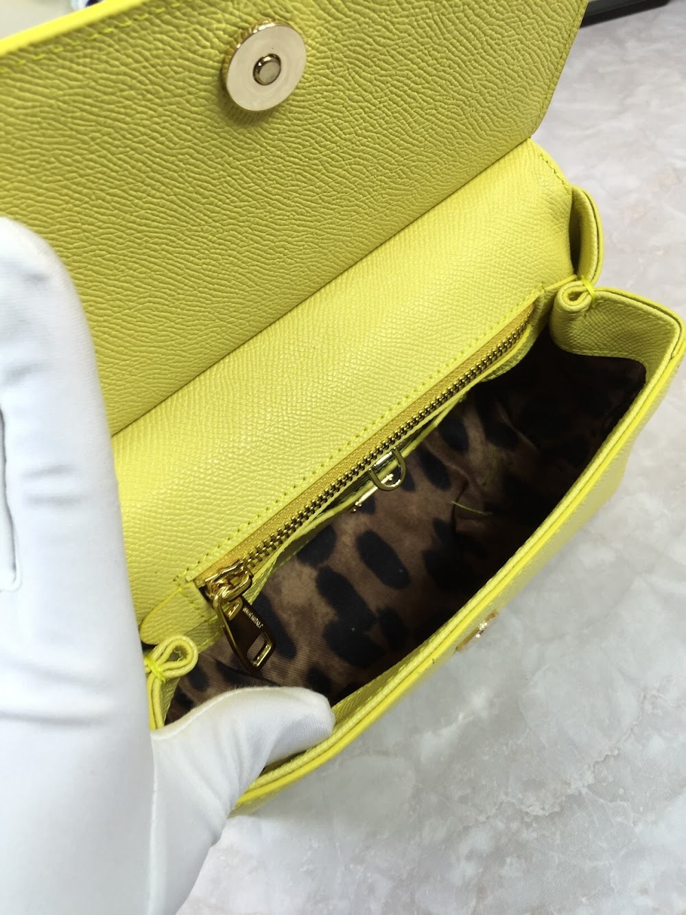 Dragons Bags DGn Luxury Bag --93183