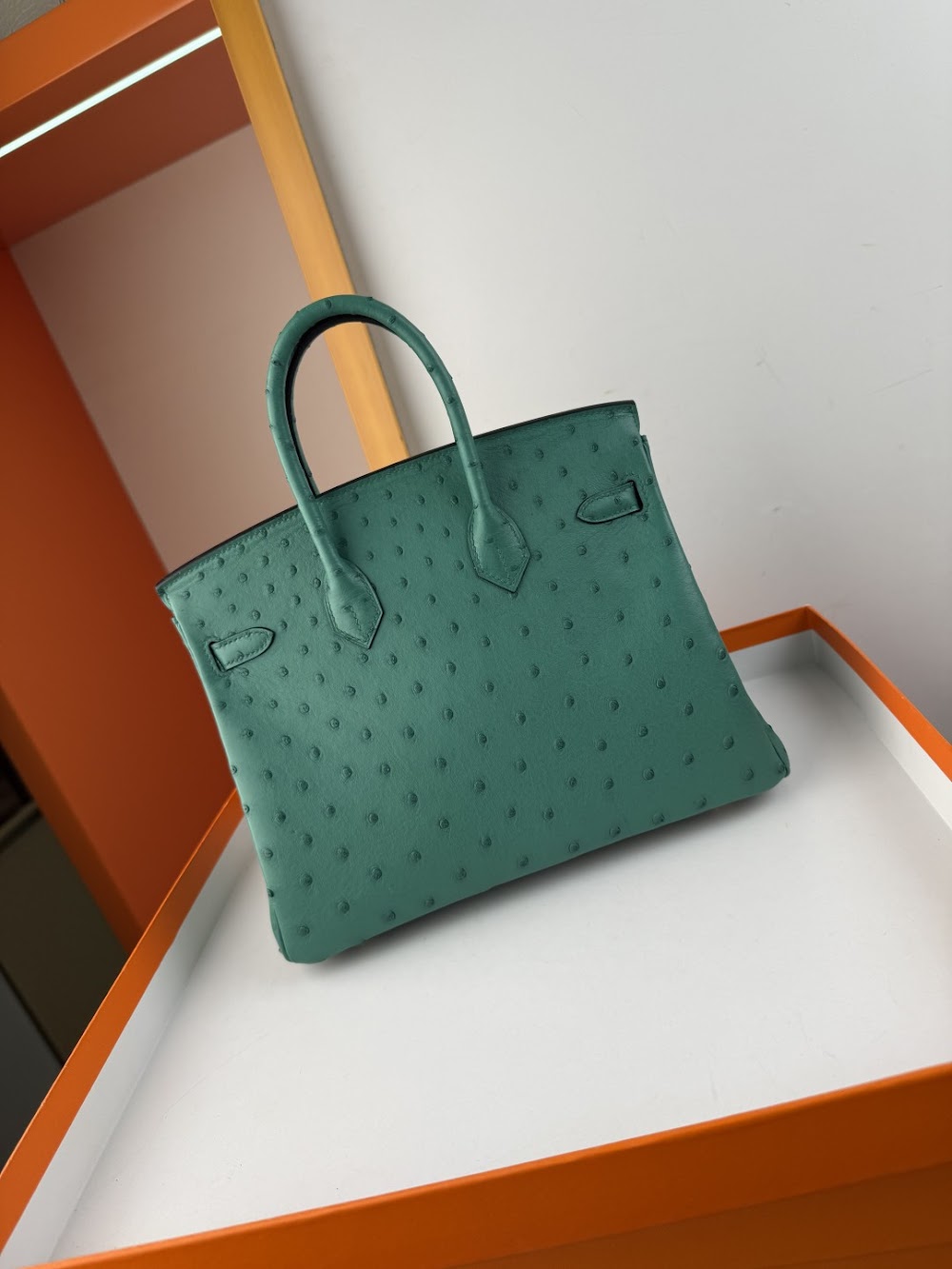Dragons BagsHermesn Luxury Bag --116757