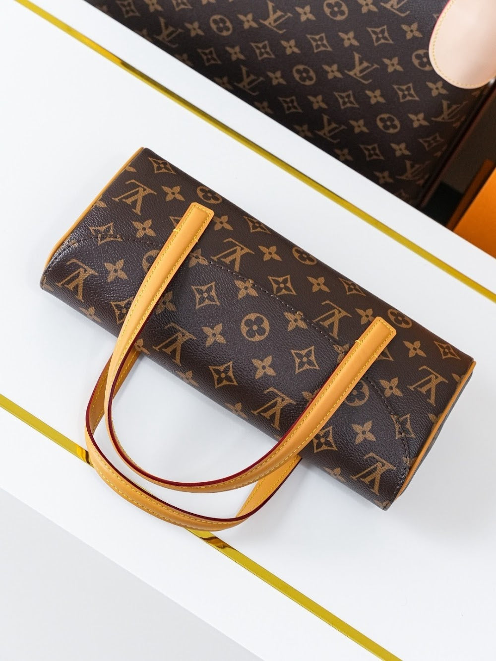 Dragons Bags LVn Luxury Bag --79695