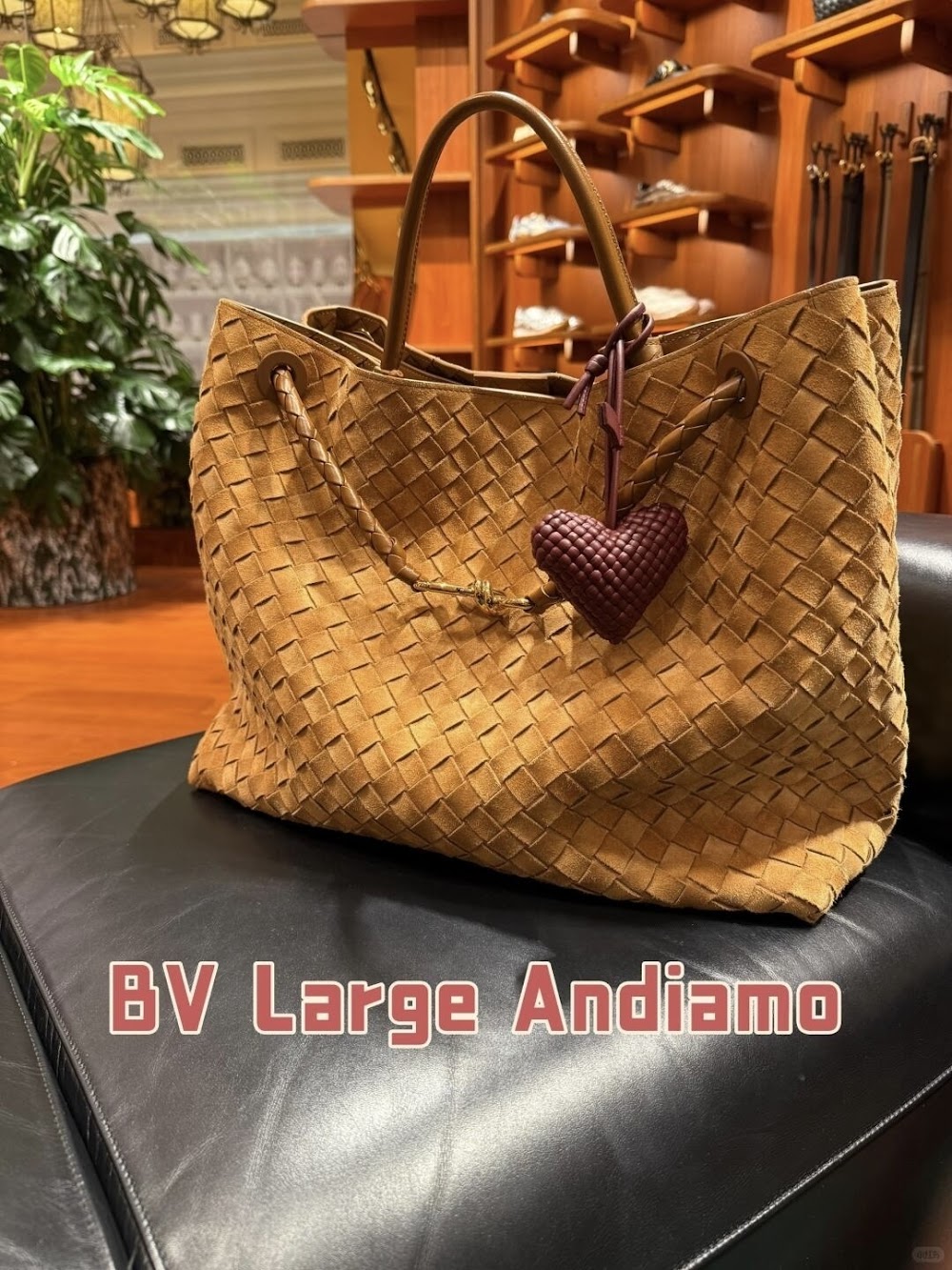 Dragons Bags Bottegan Luxury Bag --90486