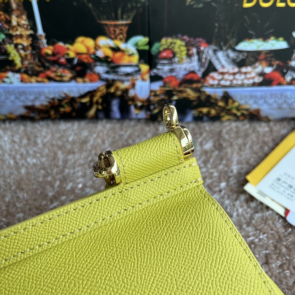Dragons Bags DGn Luxury Bag --94137