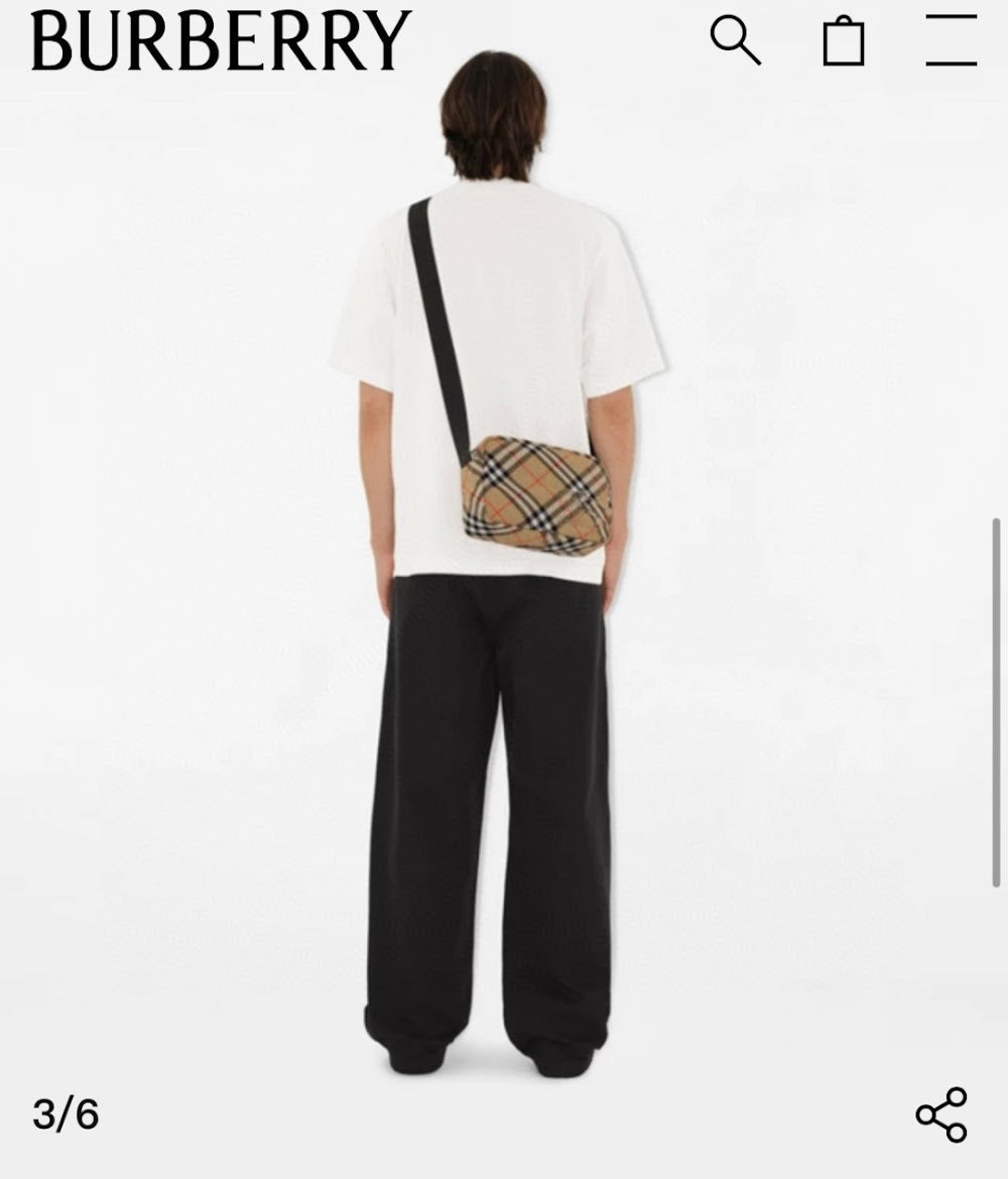 Dragons Bags Burberryn Luxury Bag --92636