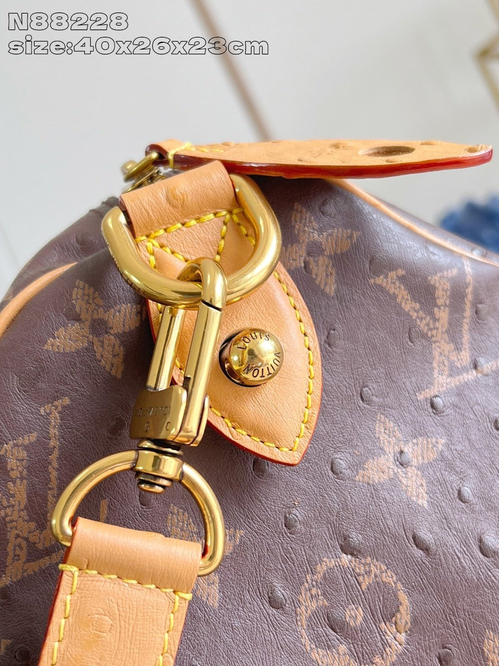 Dragons Bags ln Luxury Bag --97535